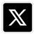 X icon small